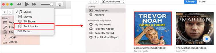 audiobooks in itunes